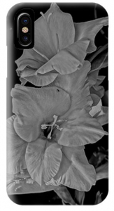 gallery/white-gladioli-cruz-selene-ambrosio